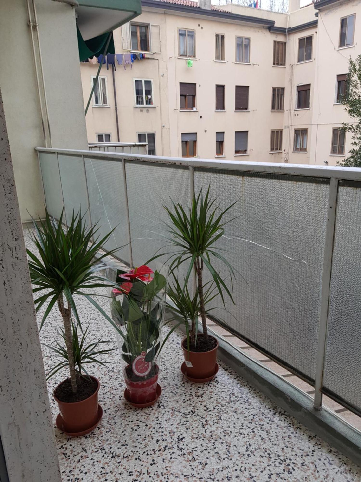 Casa de hóspedes Venice *